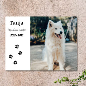 Huisdier Gedenkteken Grafsteen Buiten