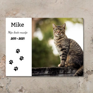 Huisdier Kat Gedenkteken Buiten Personaliseren